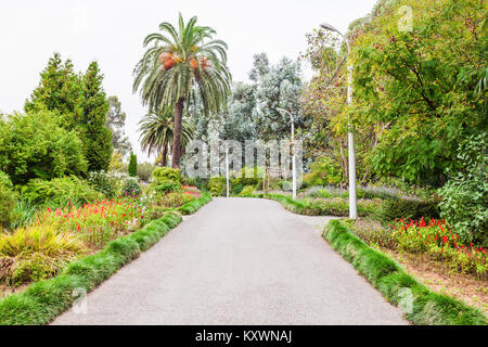 BATUMI, Georgien - 22. SEPTEMBER 2015: Der Botanische Garten in der Nähe von Batumi Batumi, Georgien. Stockfoto