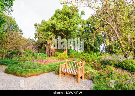 BATUMI, Georgien - 22. SEPTEMBER 2015: Batumi Botanischer Garten ist in der Nähe von Batumi, Adscharien Region Georgiens befindet. Stockfoto