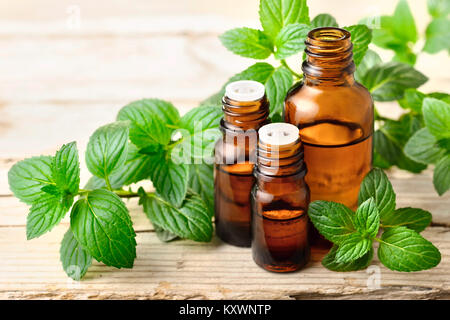 Frischer Pfefferminze Blätter und Pfefferminze ätherisches Öl im braunglas Flasche Stockfoto