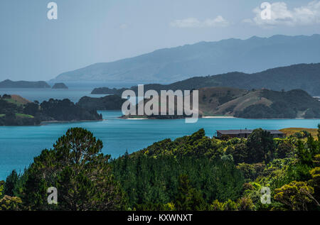 Landschaft und Vegetation der Halbinsel Coromandel, Neuseeland Stockfoto