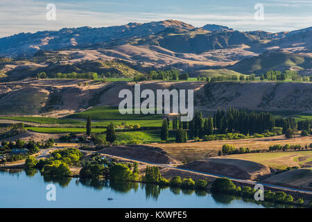 Weinberge in der Kawarau River Valley, Neuseeland Stockfoto