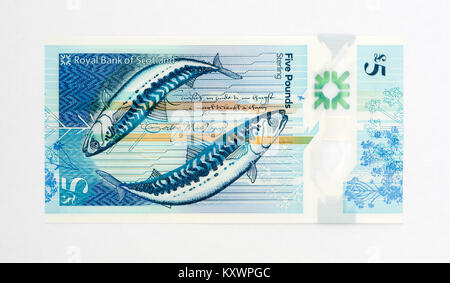 Royal Bank of Scotland RBS 5 Pfund Bank Note Stockfoto