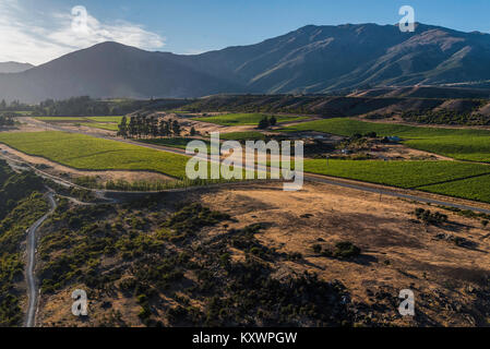 Weinberge in der Kawarau River Valley, Neuseeland Stockfoto