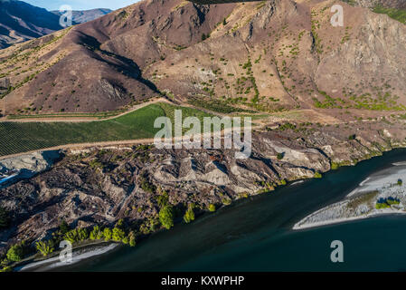 Weinberge in der Kawarau River Valley, Neuseeland Stockfoto