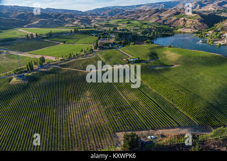 Weinberge in der Kawarau River Valley, Neuseeland Stockfoto