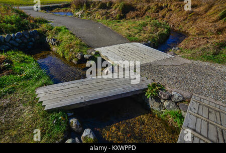 Ländliche Straße mit einem kleinen Bach in Gifu, Japan. Stockfoto