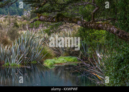 Mirror Lake in der Nähe von Te Anau, Neuseeland Stockfoto