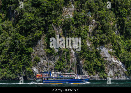 Boote auf dem Milford Sound, Neuseeland Stockfoto