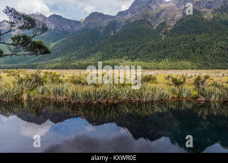 Mirror Lake in der Nähe von Te Anau, Neuseeland Stockfoto