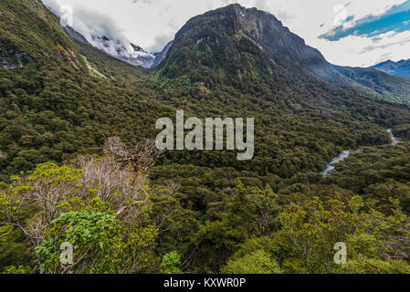 Landschaft des Hollyford Track, Neuseeland Stockfoto