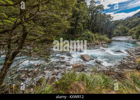 Landschaft des Hollyford Track, Neuseeland Stockfoto