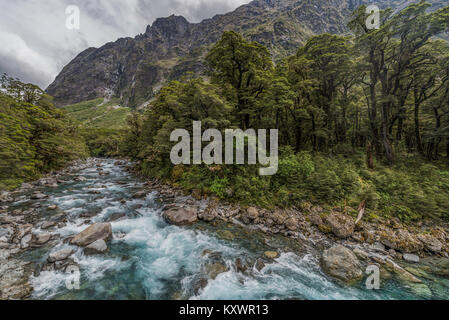 Landschaft des Hollyford Track, Neuseeland Stockfoto