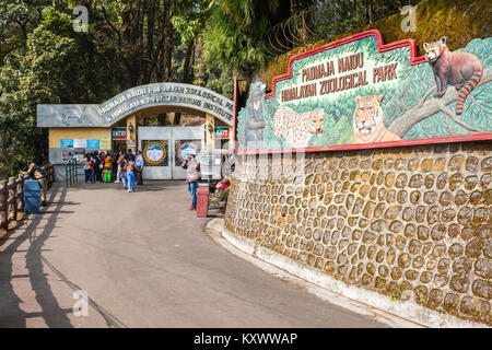 DARJEELING, INDIEN - November 18, 2015: padmaja Naidu Himalayan Tierpark in Darjeeling, Indien. Stockfoto