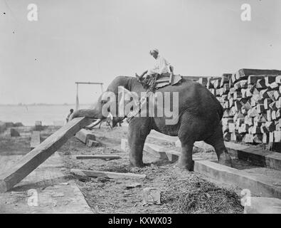 Angesichts der seit abgerissen Pennsylvania Railroad Station als von kardanringe gesehen Stockfoto