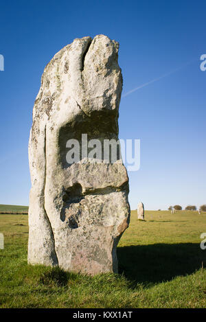 Alte Standing Stone bei Avebury Wiltshire England UK ausstellenden Aspekte des Simulakrums oder Ähnlichkeit mit lebenden Wesen Stockfoto