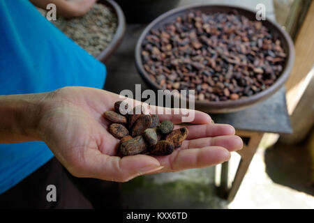 Frau mit Kakaobohnen in Händen Stockfoto