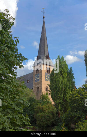 Kirche St. Maria Himmelfahrt in Neumagen-Dhron, ältesten Weinort Deutschlands, Mosel, Rheinland-Pfalz, Deutschland, Europa Stockfoto