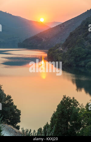 Der Fluss Douro bei Sonnenuntergang zwischen Folgosa und Pinhao. In der Weinregion Alto Douro, Nordportugal Stockfoto