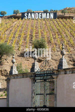 Die Quinta Do Seixo Weinbergen an den Hängen des Flusses Douro, in der Nähe von Pinhao. In der Weinregion Alto Douro, Nordportugal Stockfoto