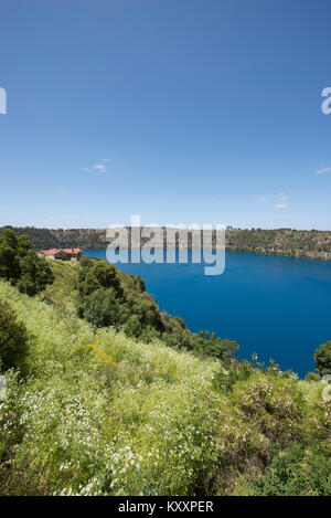 Der blaue See in Mount Gambier in Südaustralien. Es stellt sich eine lebendige Kobaltblau Farbe zwischen Dezember und März eines jeden Jahres. Stockfoto