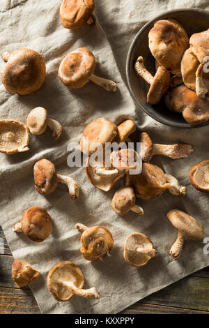 Gesunde organische Shiitake Pilze fertig zu kochen Stockfoto