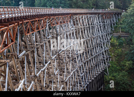 An einem Sommertag Radfahrer und Wanderer genießen Kinsol Trestle, einem alten Bahnübergang als populäre Spur restauriert, Kreuzung, hoch über dem Fluss Koksilah. Stockfoto