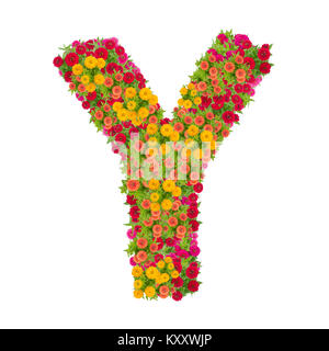 Buchstabe M Alphabet aus zinnia Blume ABC Concept Art als Logo. Typografie design Stockfoto