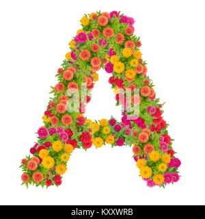 Schreiben ein Alphabet von zinnia Blume ABC Concept Art als Logo. Typografie Design mit Freistellungspfad Stockfoto