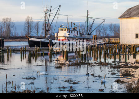 Wasservögel auf ein Salt Marsh mit einem Erbe tugboat im Hintergrund Stockfoto