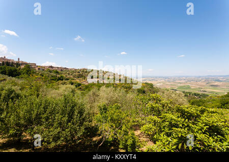 Montalcino, Toskana, Italien. Berühmte italienische mittelalterliche Stadt. Landwirtschaftliche Landschaft Stockfoto