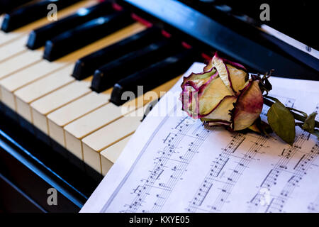 Piano keys mit trockener Rose. Die Idee, das Konzept für die Liebe zur Musik, der Komponist, musikalischer Inspiration. Stockfoto