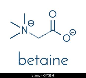 Betain (Glycine Betaine, trimethylglycine) Molekül. Ursprünglich in Zuckerrüben (Beta vulgaris) gefunden. Skelettmuskulatur Formel. Stock Vektor