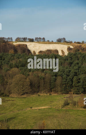 Markante, gut sichtbare, gigantische Kilburn White Horse, geschnitzt auf steilen Böschung Hang über dichten Wäldern - North Yorkshire, England, UK. Stockfoto