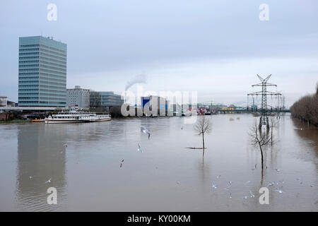 Überflutet Neckar in Mannheim, Baden-Württemberg, Deutschland, 06. Januar 2018. Tage des schweren Regens haben bei den Überschwemmungen in weiten Teilen des südlichen Deutschland led Stockfoto