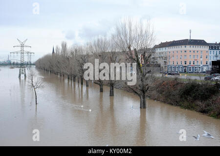 Überflutet Neckar in Mannheim, Baden-Württemberg, Deutschland, 06. Januar 2018. Tage des schweren Regens haben bei den Überschwemmungen in weiten Teilen des südlichen Deutschland led Stockfoto