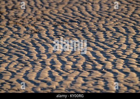 Sturz Strand im Winter die Sonne. Stockfoto