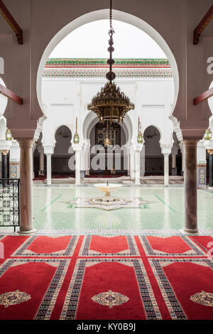 FES, MAROKKO - 27. FEBRUAR 2016: Einrichtung von Al Quaraouiyine (oder al-Qarawiyyin) Moschee und Universität in Fes, Marokko. Stockfoto