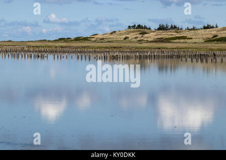 Wolken und den Himmel, das Meer, die bei Ebbe an der westlichen Mando Stockfoto