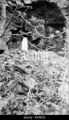 Hjälmseryds Alte Kirche in Gamla Hjälmseryd, Schweden, wurde im 12. Jahrhundert erbaut und Anfang des 20. Jahrhunderts restauriert, wobei die mittelalterliche Steinarchitektur erhalten blieb. Stockfoto