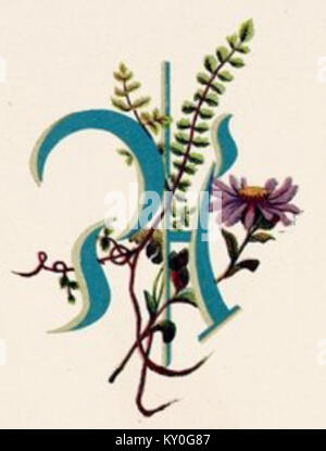 Dieses Bild zeigt eine dekorative Illustration des Buchstabens „A“ mit ornamentalem Design, das typisch für Kalligraphie und typografische Kunst ist. Stockfoto