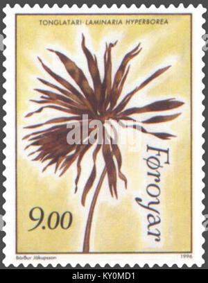 Färöer Stempel 286 Algen - cuvie oder forest Kelp (Laminaria hyperborea) Stockfoto