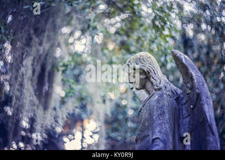 Live Oak Friedhof Stockfoto