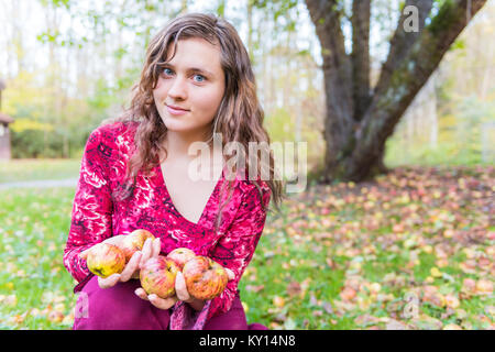 Lächelnden jungen Frau Mädchen Gesicht halten viele Äpfel wild frisch gefallenen auf Gras Boden auf Apple picking Farm closeup von Baum geknickt Stockfoto