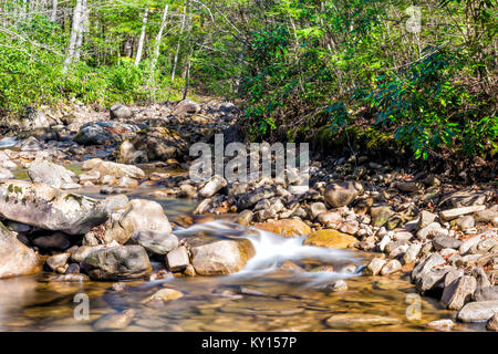 Nahaufnahme des seichten Rock Stream mit samtig weich fließendes Wasser und Wasserfall im Herbst mit grünen Blatt / Laublatt, Steine und lange Belichtung fließenden Bach Stockfoto