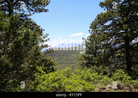 Eine Szene aus dem Kolob Terrace Road auf der Westseite des Zion National Park Stockfoto