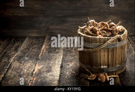 Frische Honig blätterpilze in einem hölzernen Löffel. Auf einer hölzernen Hintergrund. Stockfoto