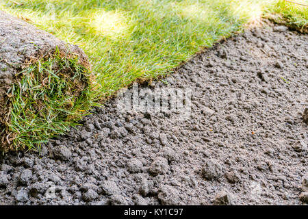 Frische Rolle von sod Gras auf Schmutz, der durch eine Landschaft Gärtner Planung einen neuen Garten hautnah und im Detail festgelegt Stockfoto