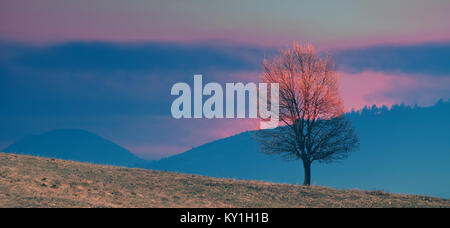 Abstract Double Exposure Landschaft Szene mit allein Baum auf dem Hügel Stockfoto
