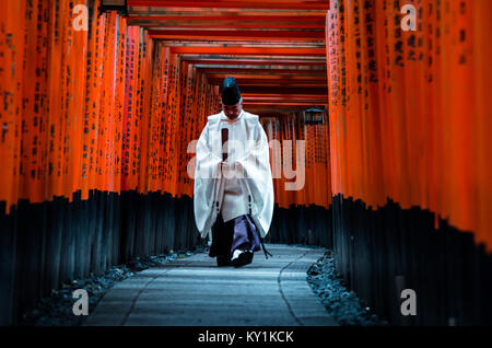 Japanischer Priester bis zu Fuß Hill in Kyoto berühmtesten Glanz, Fushima Inari glänzen. Die Leuchten besitzen grosse Menge von torii Tor alle den Weg zum Gipfel. Stockfoto
