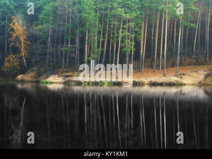 Reflexion. malerische Reflexion der Bäume in den Fluss. Stockfoto
